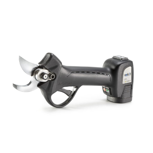 AUSONIA WORK IT 30 – Forbice Elettrica per Potatura (2 Batterie Incluse)